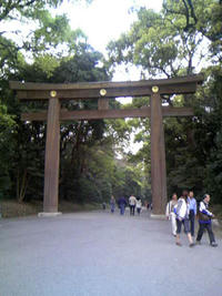 2_22198976.jpg