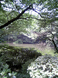 1_109014424.jpg