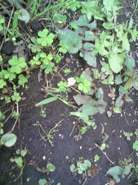 1_28130758.JPG