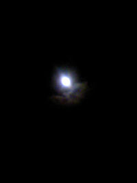 1_8211414.JPG