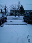 CA3C0017.jpg