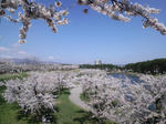 CA3C0100.jpg