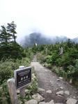 CA3C0190.jpg