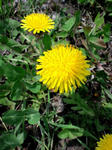 CA3C0437.jpg