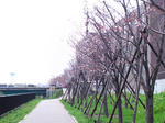 CA3C0445.jpg