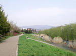 CA3C0452.jpg