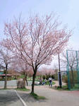 CA3C04330001.jpg