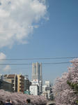 IMG_2540.JPG