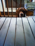 201204191258001.jpg