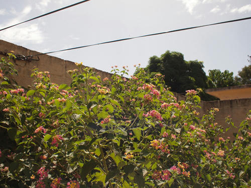 e1113013.JPG