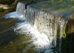 P1000443.JPG