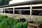 P1000432.JPG