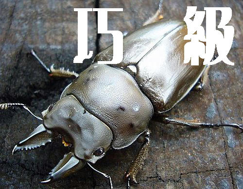 df88f874.jpeg