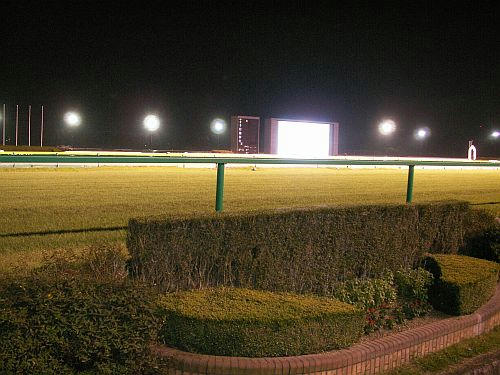 PICT1380.jpg
