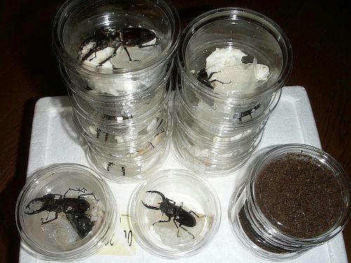 PICT1383.jpg