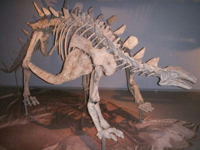 PICT1478.jpg
