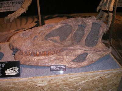 PICT1479.jpg