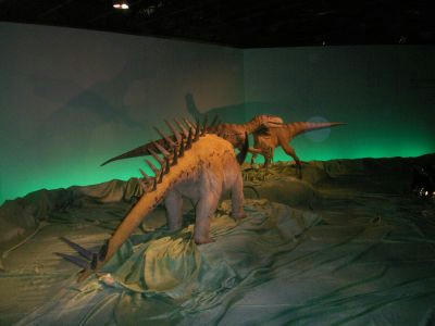 PICT1490.jpg