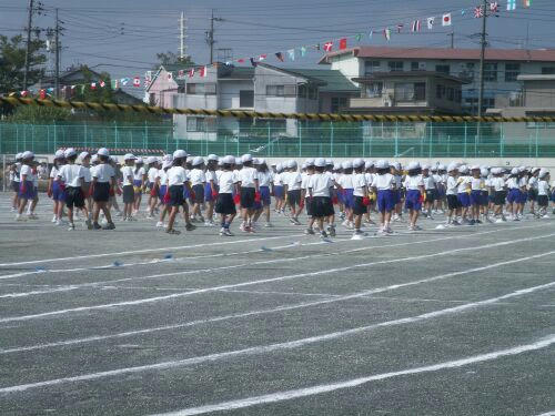 Pict1694.jpg