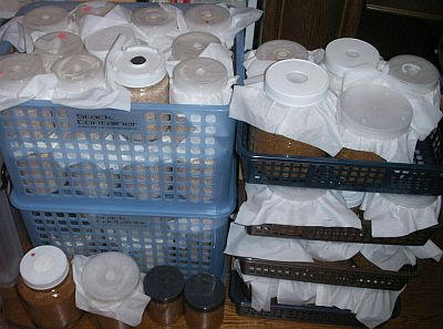 PICT2313.JPG