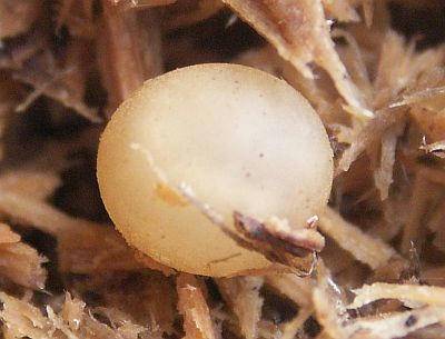 PICT2382.jpg