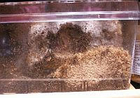 PICT24351.jpg