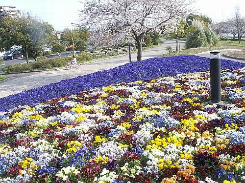 PICT2460.JPG