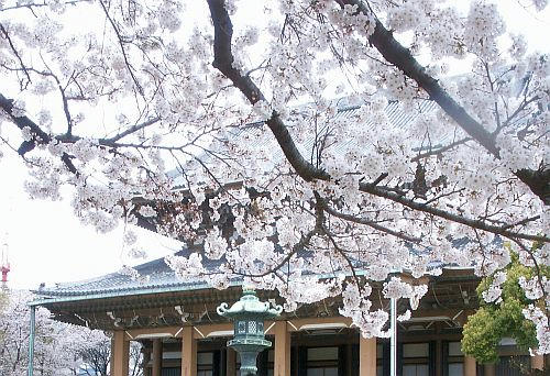 PICT2470.jpg