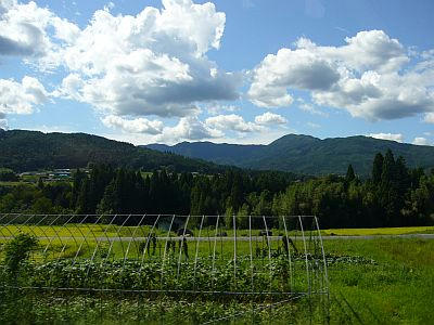 P1030833.jpg