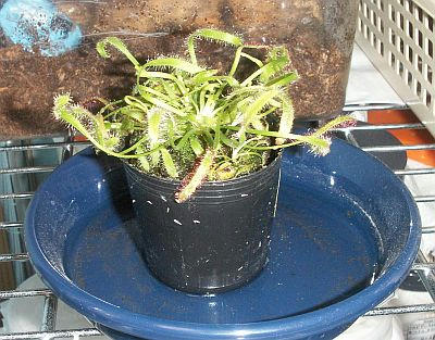 PICT2606.jpg