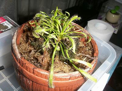 PICT2913.jpg