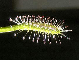 PICT2919.jpg