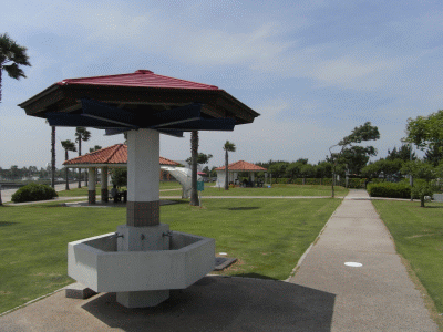 RIMG0751.gif