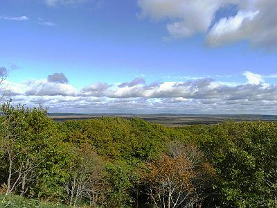 RIMG0094.jpg