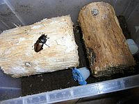RIMG0356.jpg