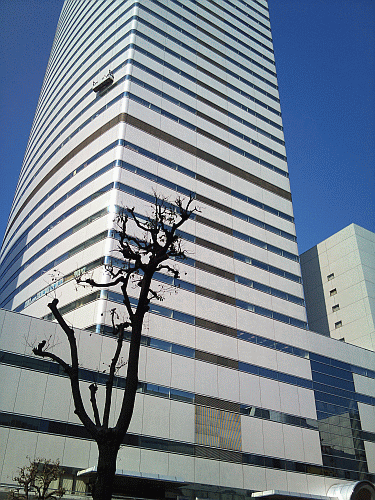 DSC_2283.gif