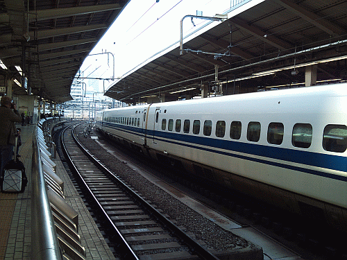 DSC_2286.gif