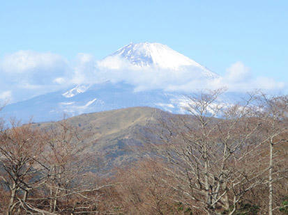 DSC01012.jpg