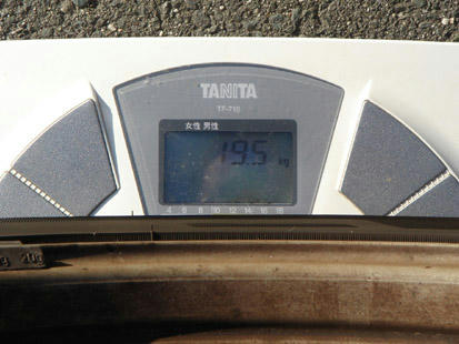 156-19.5.jpg