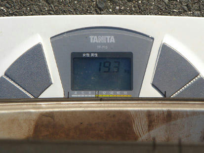 147-19.3.jpg