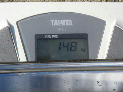 DSC01431.jpg