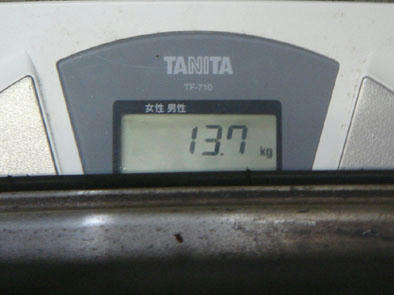 DSC07595.jpg