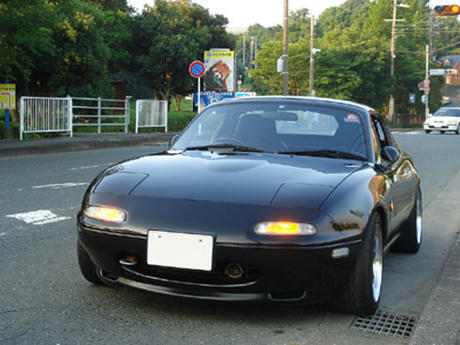 DSC07641.jpg