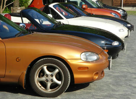 DSC07663.jpg