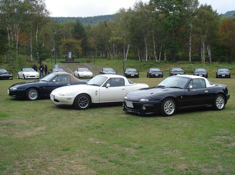 DSC07800.jpg