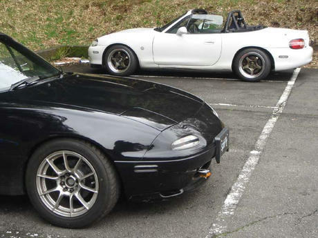 DSC08412.jpg