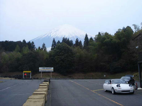 DSC08426.jpg