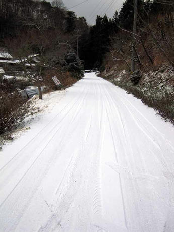 DSCN0916.jpg