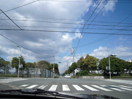 DSCN1131.jpg