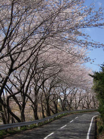 DSCN1256.jpg